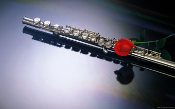 обоя музыка, музыкальные, инструменты, флейта, цветок