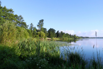 Картинка суздальское озеро природа реки озера деревья камыш берег вода