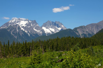 обоя природа, горы, alaska, пейзаж, деревья, аляска, лес