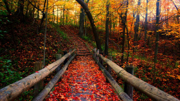 Картинка природа дороги краски листва лестница осень парк