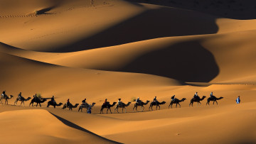 обоя природа, пустыни, караван, песок, пустыня, барханы