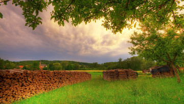 обоя stack, wood, природа, другое, штабель, бревна, деревья, трава