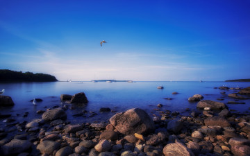 Картинка природа побережье камни море яхты чайки лодки