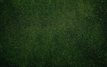 Картинка разное текстуры трава