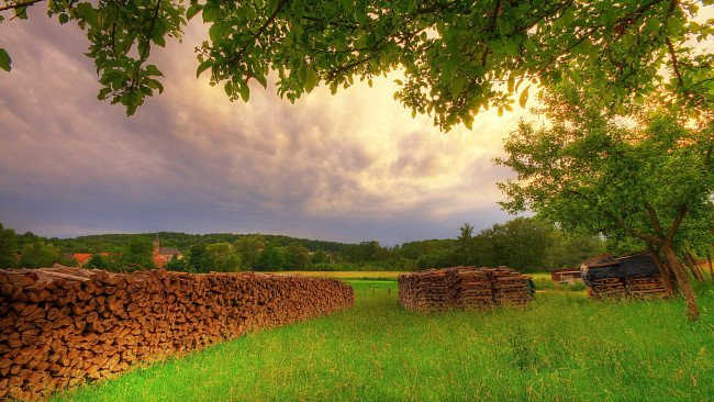 Обои картинки фото stack, wood, природа, другое, штабель, бревна, деревья, трава