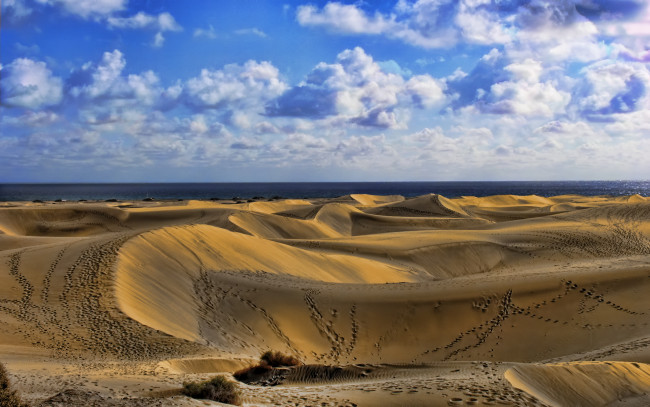 Обои картинки фото dune, tracks, природа, пустыни, следы, дюны, море, облака