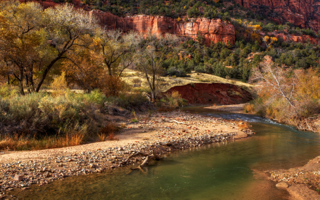 Обои картинки фото zion, fall, природа, реки, озера, горы, деревья, ручей, скалы