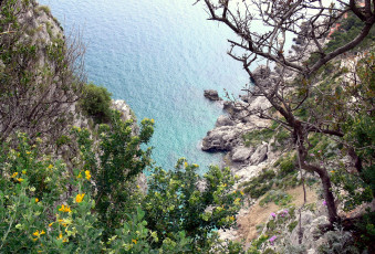 Картинка природа побережье камни скалы море растительность