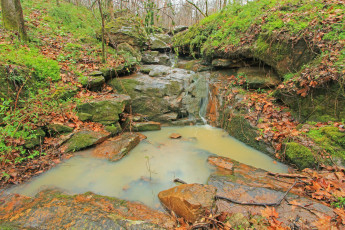 Картинка pisgah national forest сша природа реки озера ручей лес