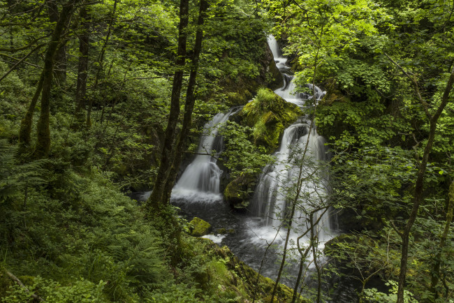 Обои картинки фото colwith, force, england, природа, водопады, river, brathay, lake, district, англия, лес, река