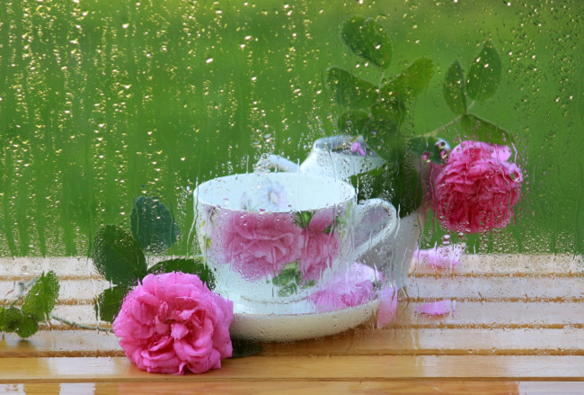 Обои картинки фото цветы, розы, вода, окно, чашка