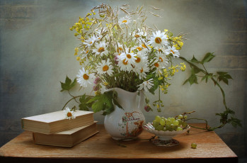 Картинка еда натюрморт виноград травы кувшин ромашки книги столик вазочка ягоды листья лиана цветы