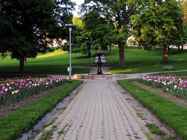 Обои картинки фото природа, парк, аллея, весна, тюльпаны, клумбы, фонтан