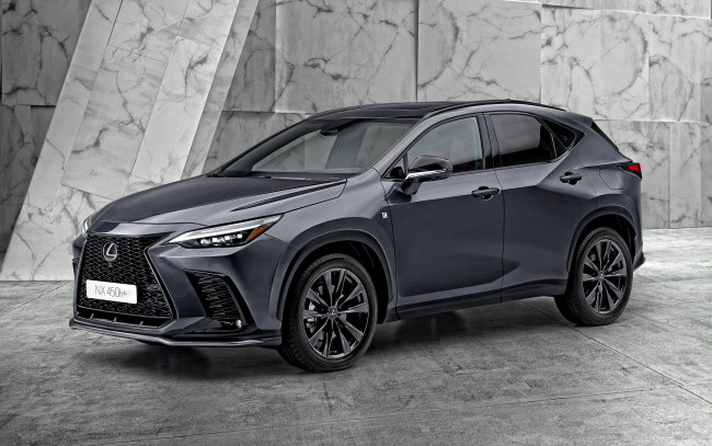 Обои картинки фото автомобили, lexus, 2022, nx, 450h, f, sport, 4k, вид, спереди, экстерьер, новый, серый, японские, кроссовер