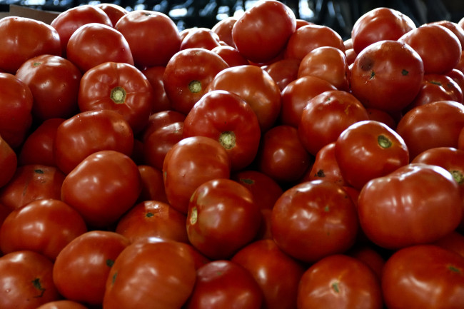 Обои картинки фото еда, помидоры, спелые, красные, много
