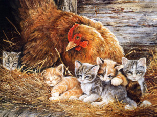 Картинка 04 рисованные животные кот котенок петух