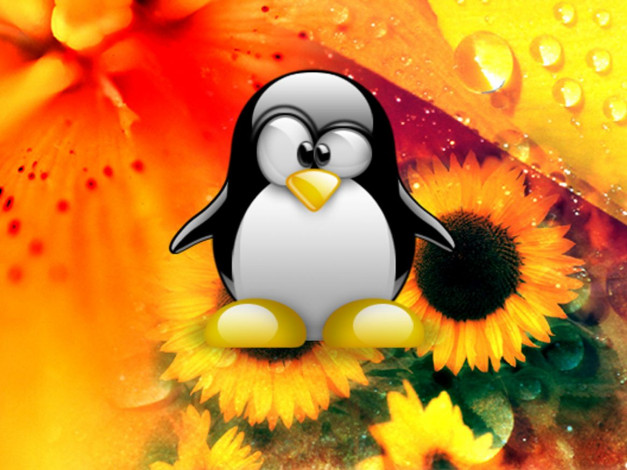 Обои картинки фото компьютеры, linux