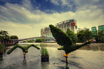 Картинка шанхай китай города мост вода город утки зелень