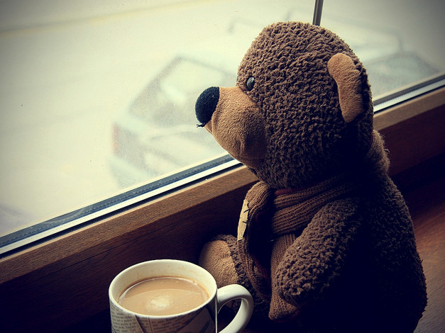 Обои картинки фото разное, игрушки, окно, грусть, кофе, медведь, чашка