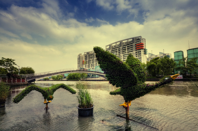 Обои картинки фото шанхай, китай, города, мост, вода, город, утки, зелень