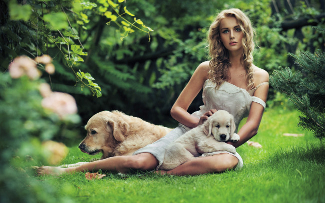 Обои картинки фото -Unsort Блондинки, девушки, unsort, блондинки, собаки, щенок, голден, ретривер