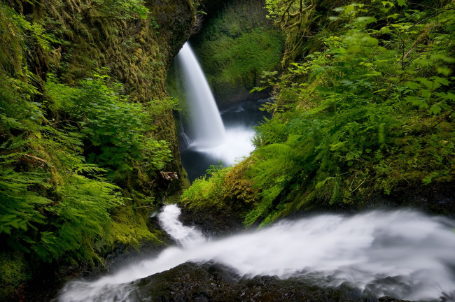 Обои картинки фото природа, водопады, вода, поток, папоротник