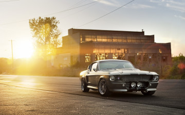 Картинка автомобили mustang shelby