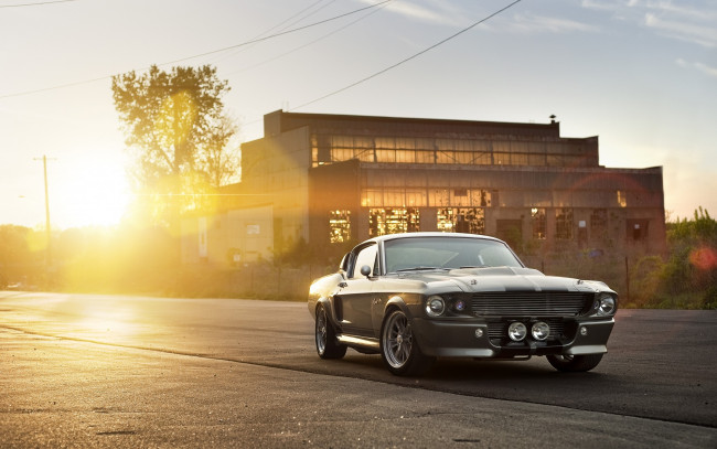 Обои картинки фото автомобили, mustang, shelby