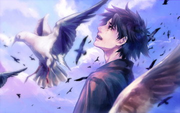 Картинка аниме fate zero арт tamachi kuwa stay night emiya kiritsugu парень птицы слезы небо облака