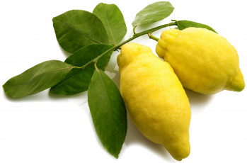 Картинка еда цитрусы желтый фрукт цитрус лимоны