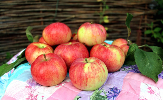 Обои картинки фото еда, Яблоки, плоды, фрукты, яблоки