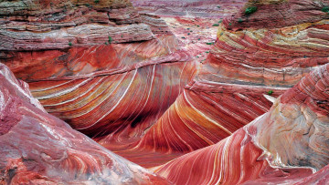 обоя coyote buttes, utah, природа, горы, coyote, buttes