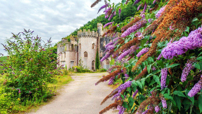 Обои картинки фото grych castle, wales, uk, города, замки англии, grych, castle