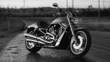 обоя harley, мотоциклы, harley-davidson, davidson, мотоцикл, байк