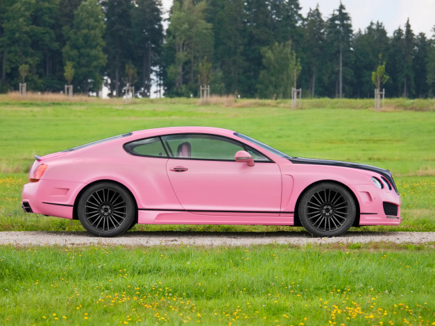 Обои картинки фото 2010, mansory, bentley, vitesse, rose, автомобили