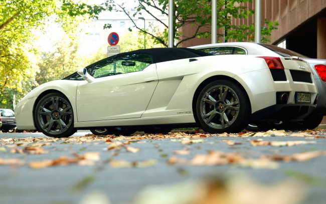 Обои картинки фото lamborghini, автомобили