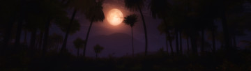 Картинка 3д графика nature landscape природа ночь луна пальмы тропики