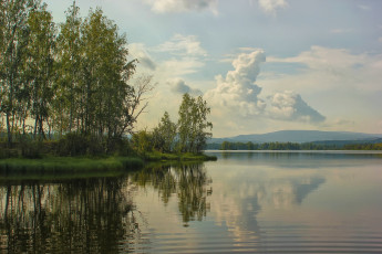 Картинка природа реки озера березы вода