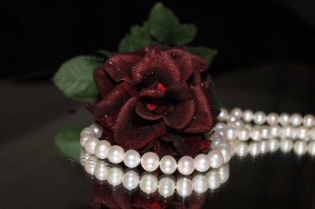 Картинка разное украшения аксессуары веера ожерелье роза
