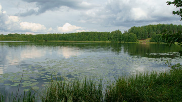 Картинка оз светлояр природа реки озера озеро берег лес облака