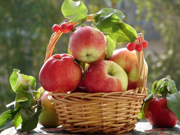 Обои картинки фото еда, Яблоки, корзинка, плоды