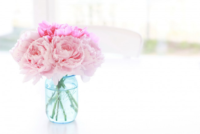 Обои картинки фото цветы, пионы, цветение, букет, розовые, банка