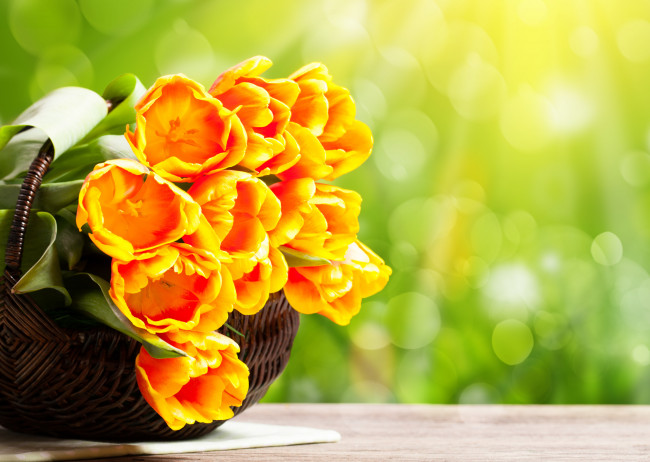 Обои картинки фото цветы, тюльпаны, basket, bouquet, tulip, букет, tulips