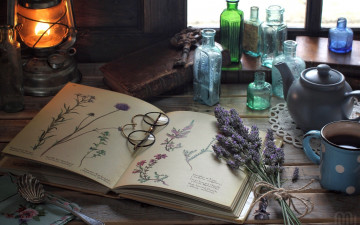 Картинка разное канцелярия +книги винтаж натюрморт бутылки очки лаванда цветы рисунки книга гербарий лампа