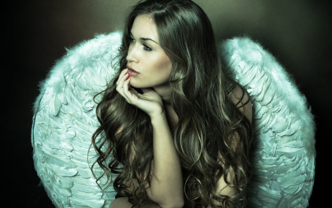 Обои картинки фото девушки, -unsort , брюнетки,  шатенки, angel, wings, feathers, sexy