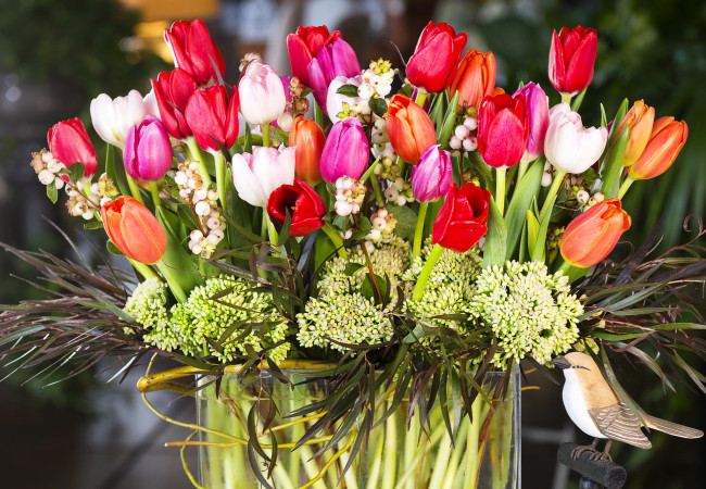 Обои картинки фото цветы, тюльпаны, bouquet, tulips