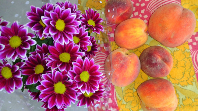 Обои картинки фото еда, персики,  сливы,  абрикосы, хризантемы