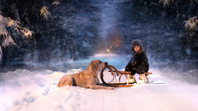 Обои картинки фото разное, настроения, мальчик, санки, собака, зима, снег, аллея