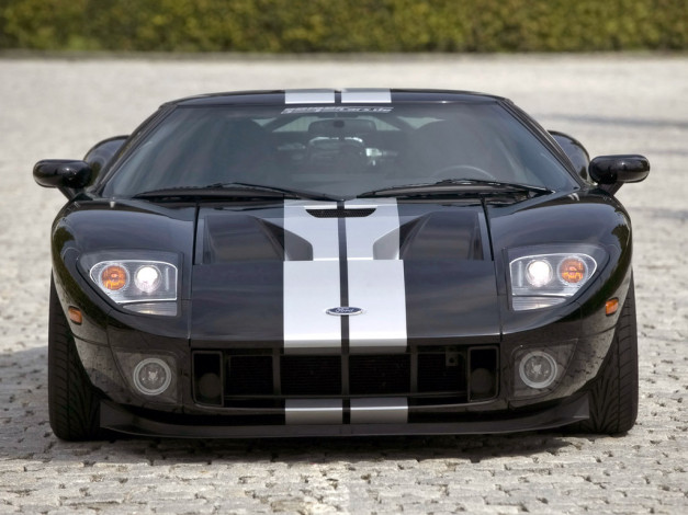 Обои картинки фото 2008, geiger, ford, gt, автомобили