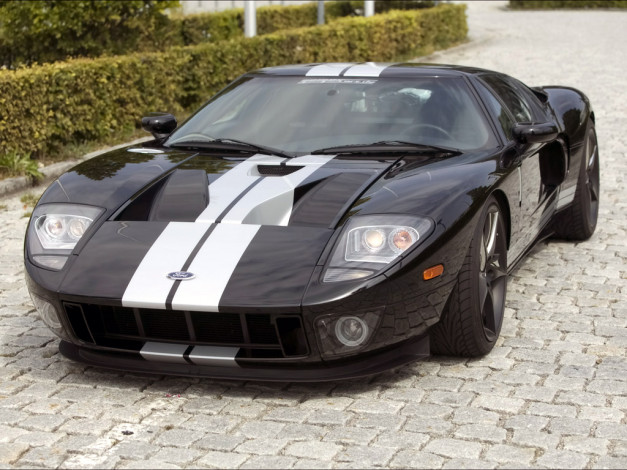 Обои картинки фото 2008, geiger, ford, gt, автомобили